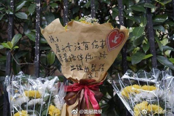 媒体人给小杨建议：角色转变跟上节奏 沟通流畅 保持健康做好准备